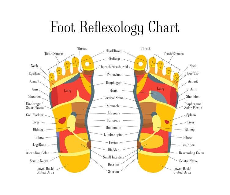 75272273 - cartoon reflexology feet alternative medicine. vector
